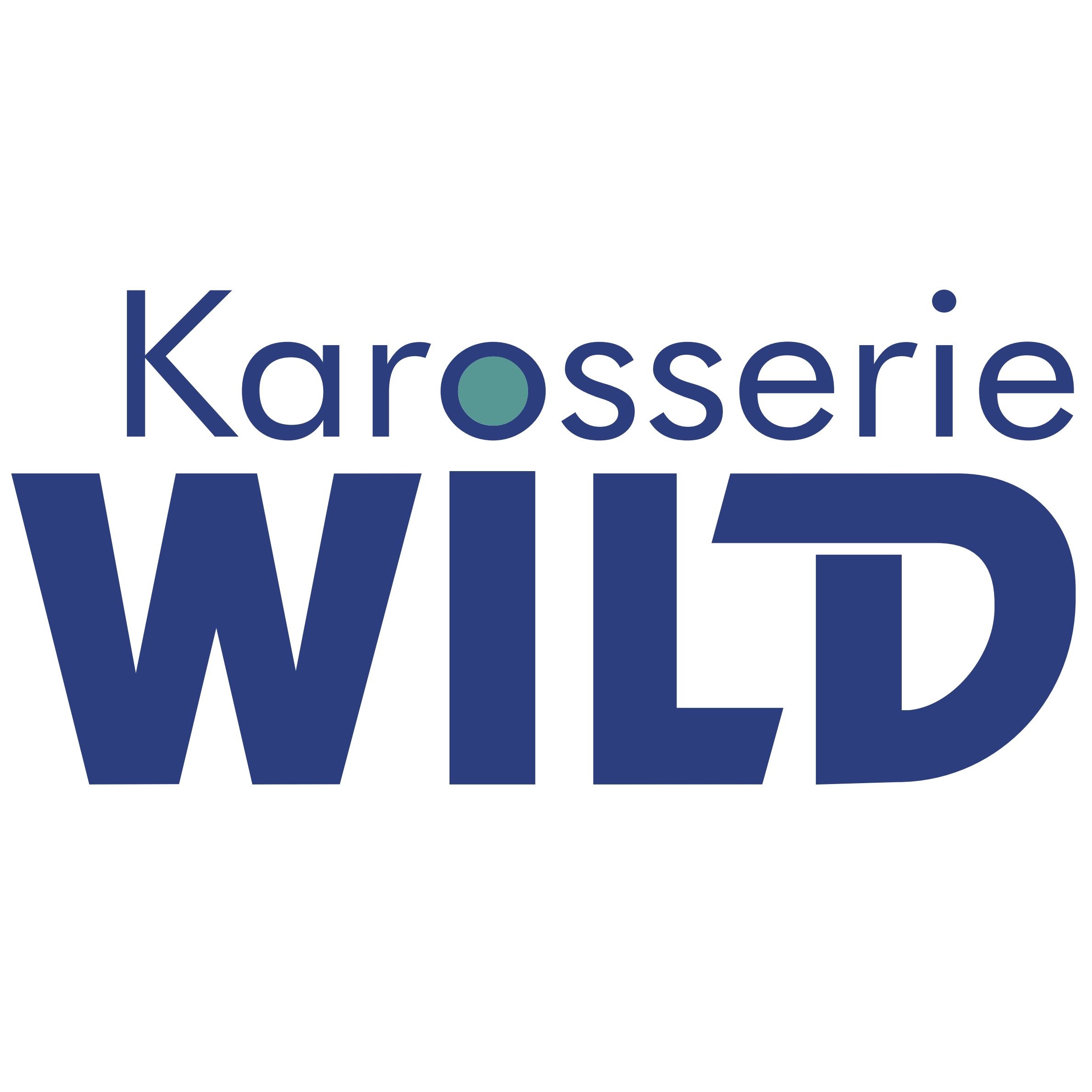 Logo Wild GmbH