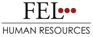 Logo FEL GmbH